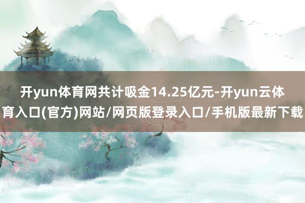 开yun体育网共计吸金14.25亿元-开yun云体育入口(官方)网站/网页版登录入口/手机版最新下载