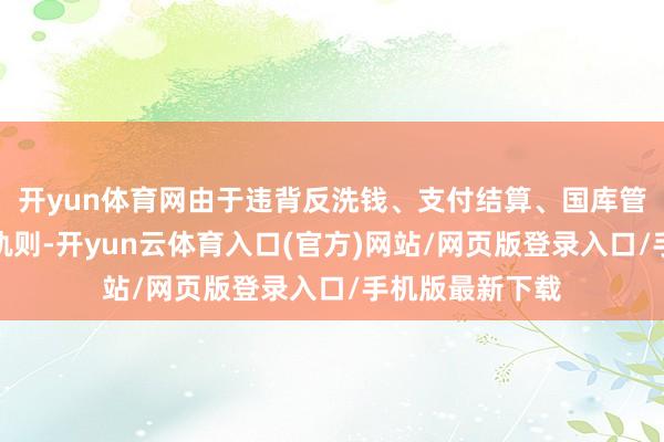 开yun体育网由于违背反洗钱、支付结算、国库管束、征信管束轨则-开yun云体育入口(官方)网站/网页版登录入口/手机版最新下载