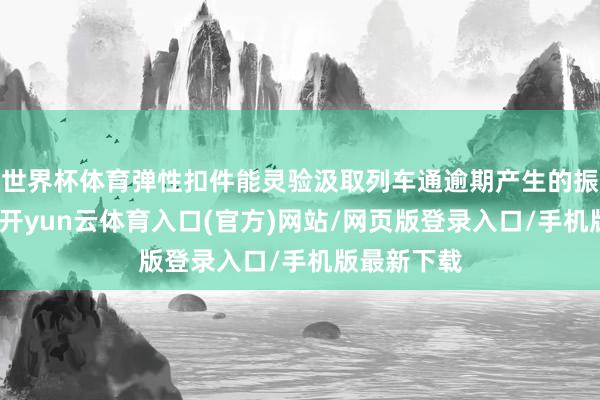 世界杯体育弹性扣件能灵验汲取列车通逾期产生的振动和杂音-开yun云体育入口(官方)网站/网页版登录入口/手机版最新下载