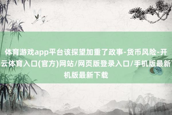 体育游戏app平台该探望加重了政事-货币风险-开yun云体育入口(官方)网站/网页版登录入口/手机版最新下载